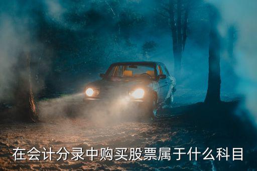 在会计分录中购买股票属于什么科目