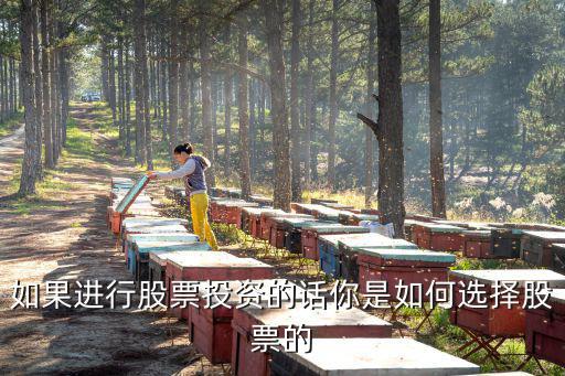 如果进行股票投资的话你是如何选择股票的