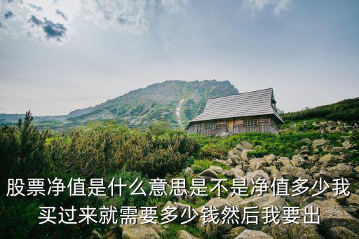 为什么买卖股票要看净值，怎么看股票净值