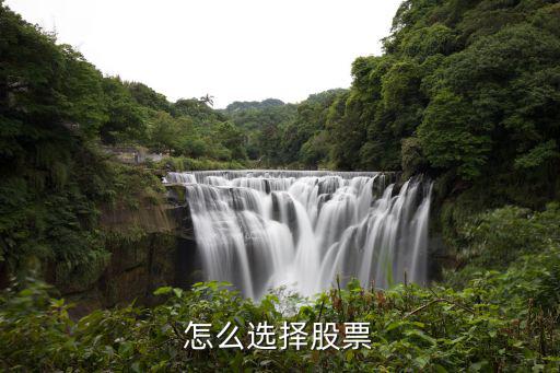不温不火怎么选股票，怎么选择股票