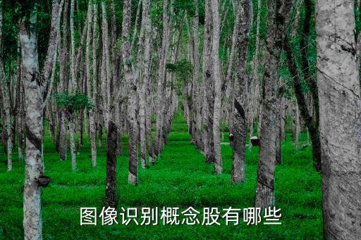 图像识别概念股有哪些