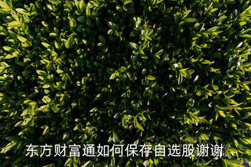 东方财富通如何保存自选股谢谢