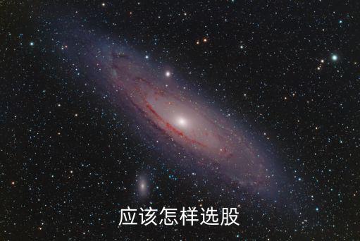 应该怎样选股