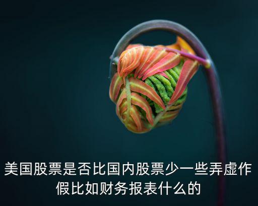 美国股票是什么风险类型，美股最大风险是什么