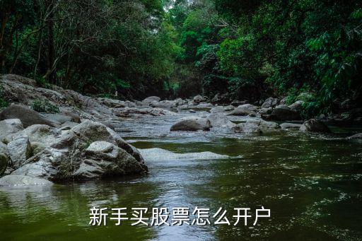 股票新手怎么开户，新手股票怎么开户 专业知识解疑惑