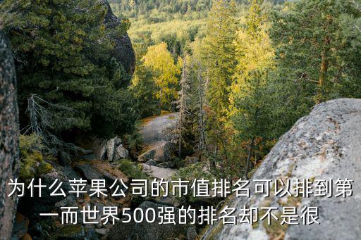 为什么苹果股票这么贵，为什么苹果市值世界第一但是在世界500强里面排名不是很靠前  搜