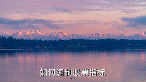 股票怎么编，怎样编辑股票公式啊