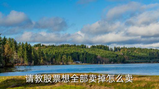 请教股票想全部卖掉怎么卖