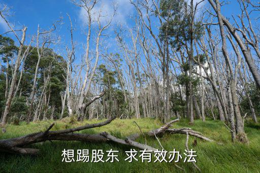 怎么踢股票，俩人和伙开的公司如果想踢出另外一个股人要怎么做是要买走他所