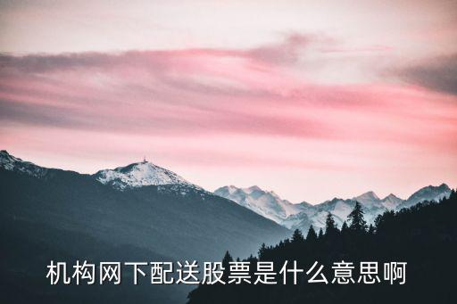 股票配送什么意思啊，股票配送是什么意思