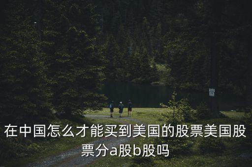 在中国怎么才能买到美国的股票美国股票分a股b股吗
