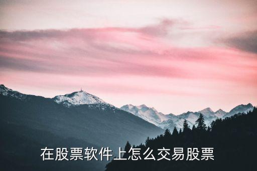 在股票软件上怎么交易股票