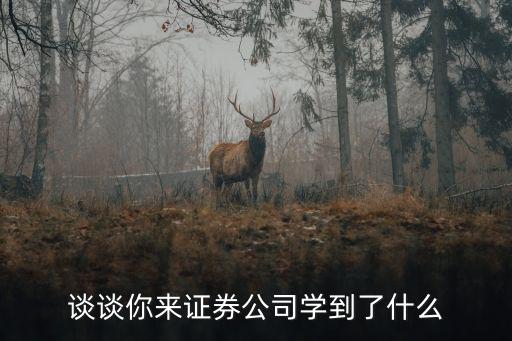 谈谈你来证券公司学到了什么