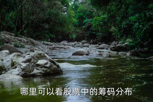哪里可以看股票中的筹码分布