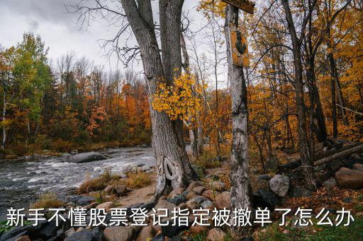 新手不懂股票登记指定被撤单了怎么办