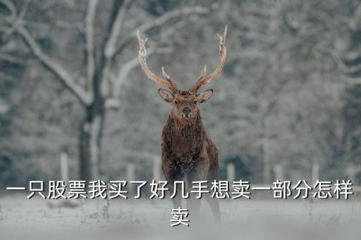一只股票我买了好几手想卖一部分怎样卖