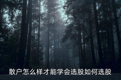 散户怎么学会股票，散户怎么样才能学会选股如何选股