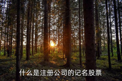 什么是注册公司的记名股票