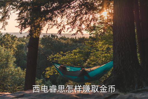 西电睿思怎样赚取金币