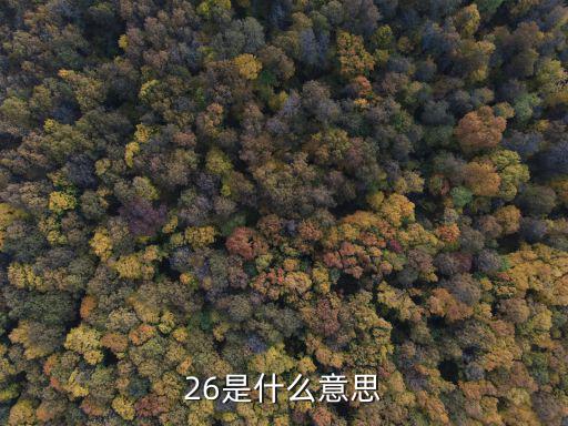 26是什么意思