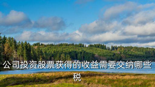 股票收益按什么缴税呢，公司投资股票获得的收益需要交纳哪些税