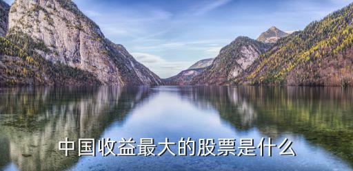 中国收益最大的股票是什么