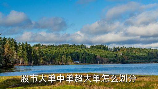 股市大单中单超大单怎么划分