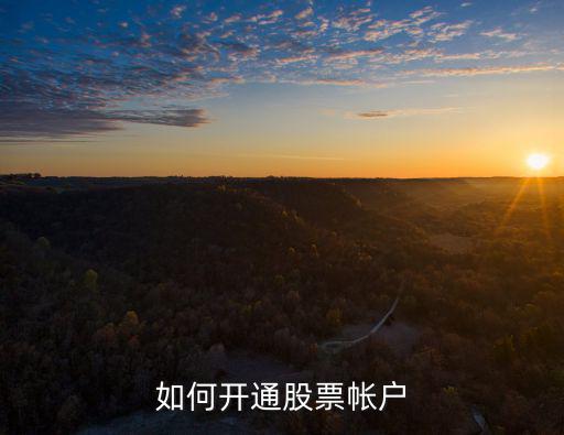怎么领取股票账号，开股票账户的具体流程