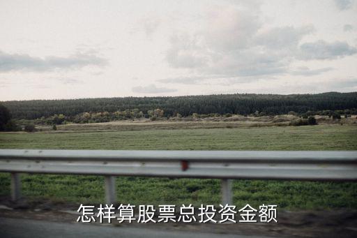 怎样算股票总投资金额