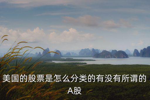 美国的股票是怎么分类的有没有所谓的A股