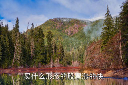 买什么形态的股票涨的快