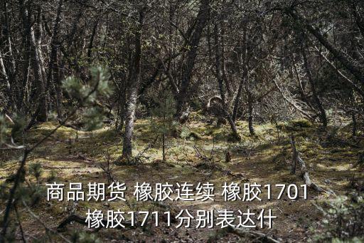 股票1711是什么意思，永生之酒没看懂我承认我太笨了谁能给我回答下