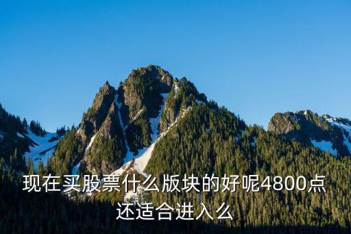 现在买股票什么版块的好呢4800点还适合进入么