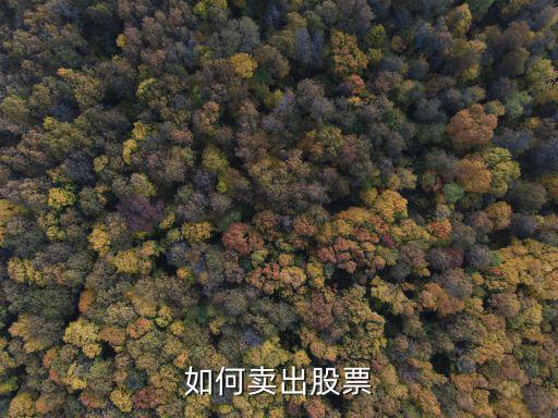 如何卖出股票