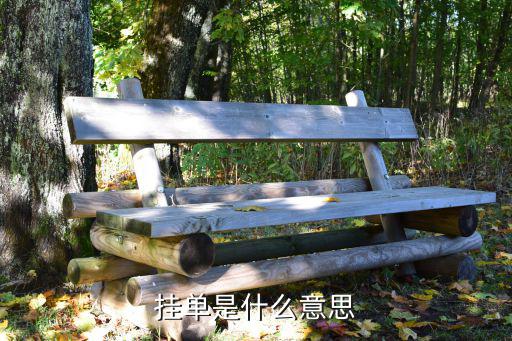 挂单是什么意思