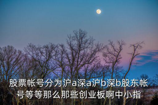 股票有深沪还有什么，沪深300股票有哪些