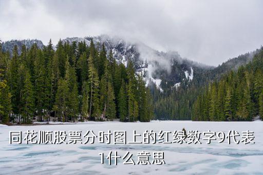 股票分时交易图形代表什么，同花顺股票分时图上的红绿数字9代表1什么意思