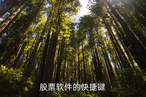 股票软件的快捷键