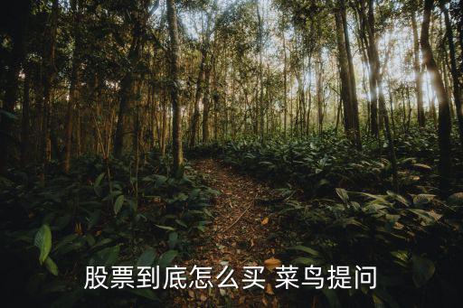 股票到底怎么买 菜鸟提问