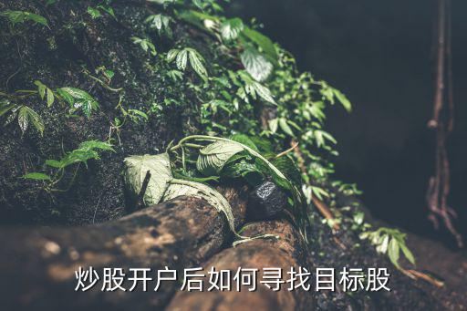 炒股开户后如何寻找目标股