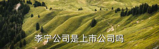 李宁公司是上市公司吗