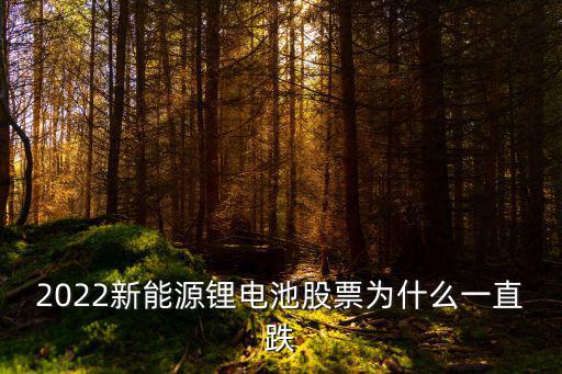 2022新能源锂电池股票为什么一直跌
