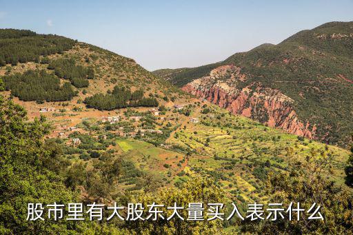 股票大量的买卖预示什么，股市里有大股东大量买入表示什么