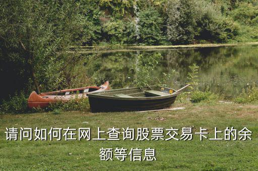 请问如何在网上查询股票交易卡上的余额等信息