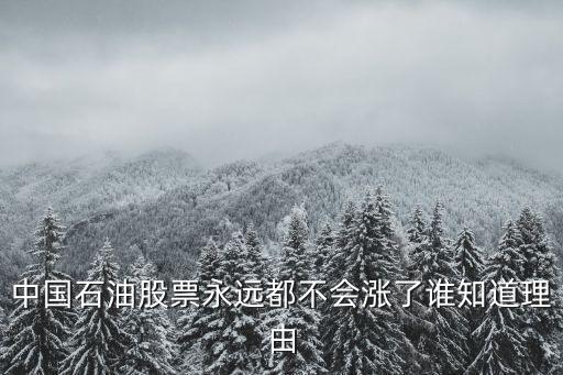 中国石油股票永远都不会涨了谁知道理由