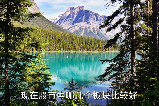 股票里有什么版块好，什么板块的股票好