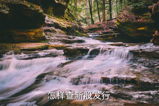怎样查新股发行