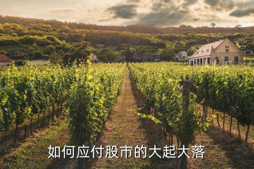 怎么应对股票波动，如何应付股市的大起大落