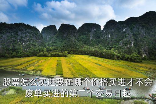 股票怎么买进要在哪个价格买进才不会废单买进的第二个交易日起