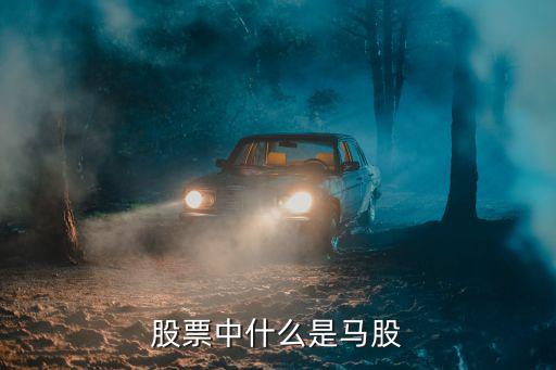 股票中什么是马股